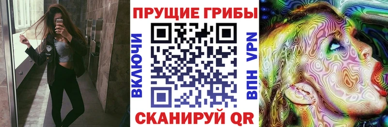 Псилоцибиновые грибы Psilocybe  Купить где  Навашино 